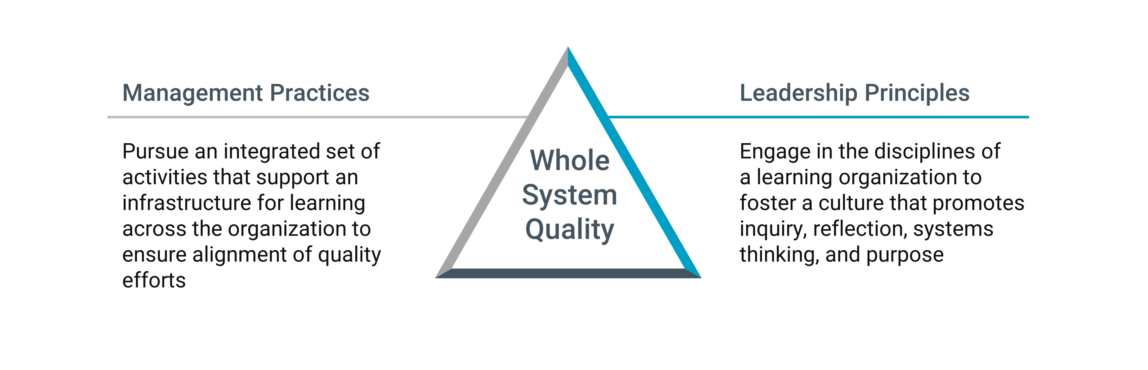 Whole System Quality Practices and Principles