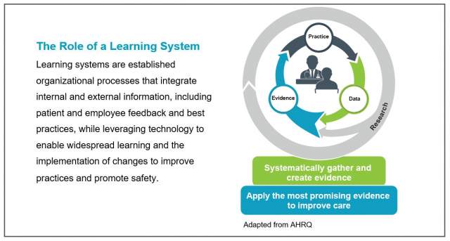 National Action Plan Advance Safety: Role of a Learning System