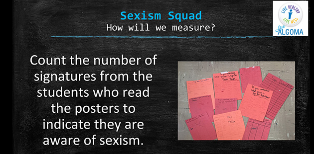Algoma Sexism Squad: How Will We Measure?