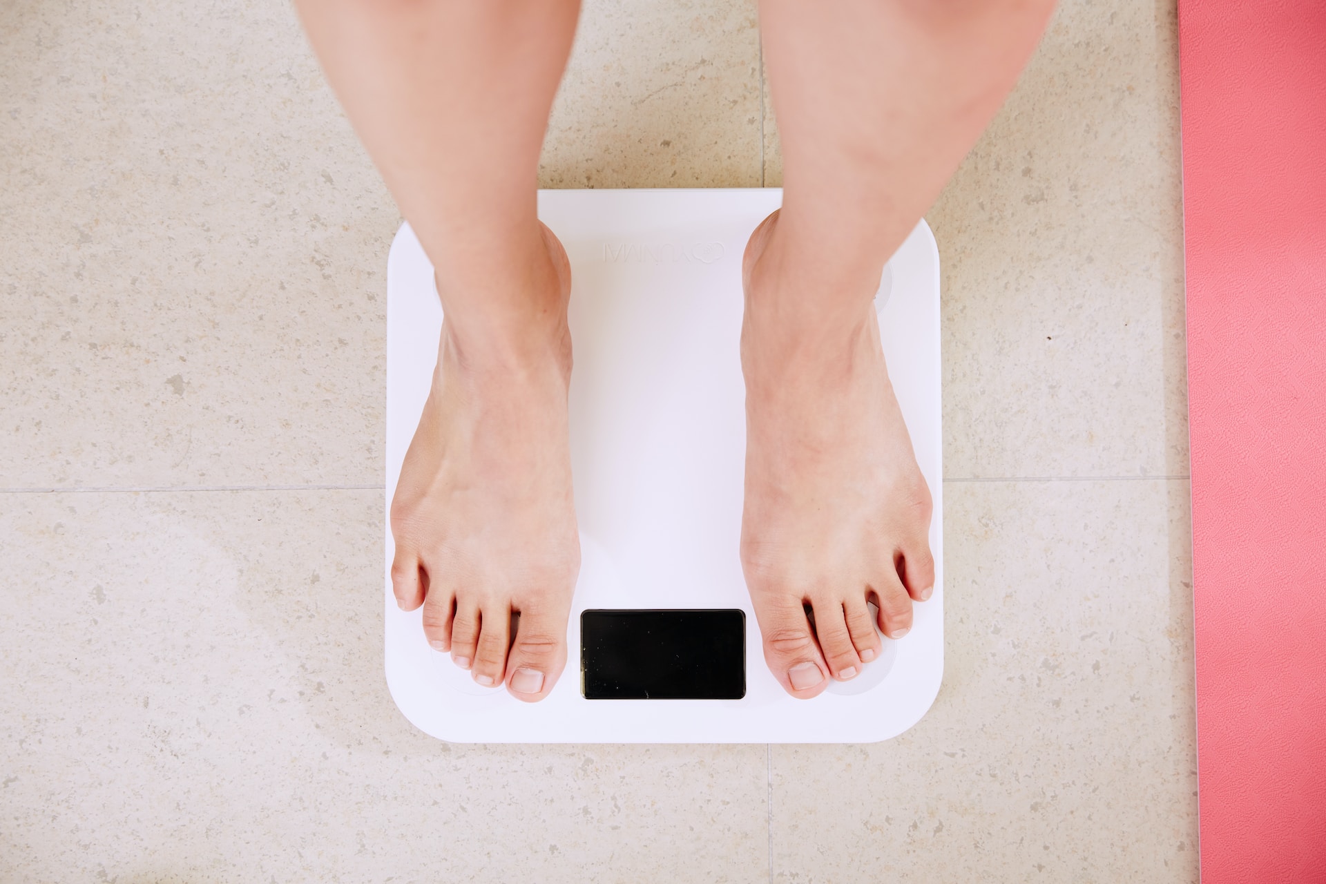 The Risks of Fatphobia to Health and Equity