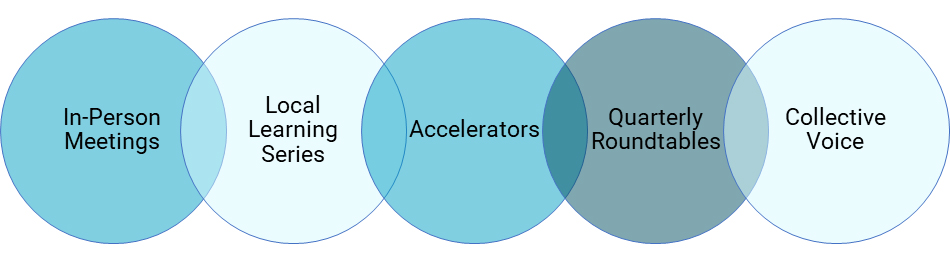 IHI Leadership Alliance Interactions Diagram