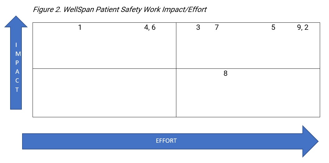 WellSpan Patient Safety Work Impact/Effort