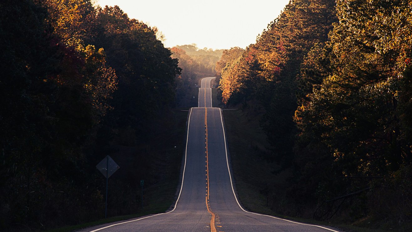 Asphalt road between trees