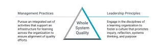 Whole System Quality Practices and Principles