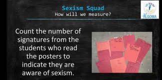 Algoma Sexism Squad: How Will We Measure? Algoma Sexism Squad: How Will We Measure?