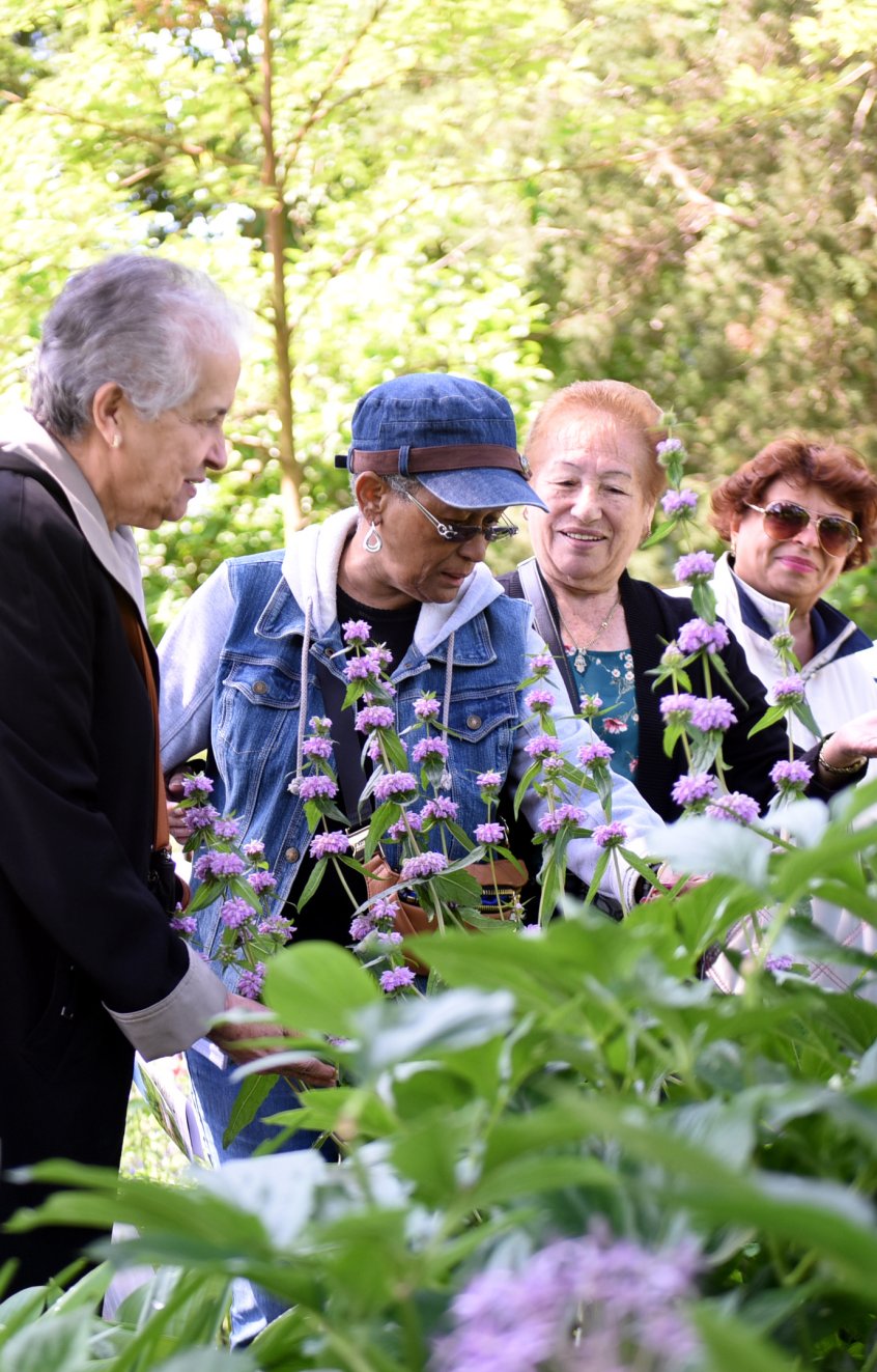 Improving Health Equity Improving Health Equity